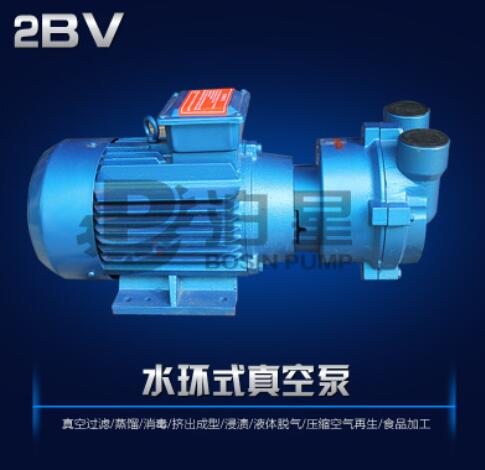 省内包邮 厂家直销 2bv2060 2bv2070 水环式真空泵 水环真空泵图1