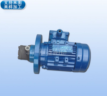 批发液压耐腐蚀齿轮泵 CBA-B6NS CBA-B10NS耐腐蚀不锈钢齿轮泵图2