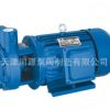 天津厂家供应旋涡泵 高品质旋涡泵 优质旋涡泵 W型单级旋涡泵