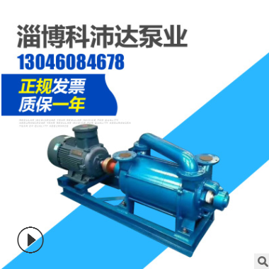 厂家现货供应2SK系列水环式真空泵 两级双环式真空泵整机价格图2