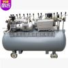 旋片真空泵FXD-063真空泵站 自动控制真空泵 可移动真空系统
