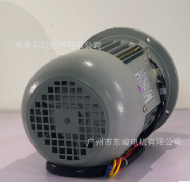 厂家直销广州YY8032豆浆机电机豆奶机磨浆机电容运转电机豆腐花机图2