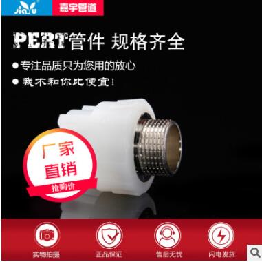 PERT内丝直接 地暖配件PERT地暖管接头pert内牙直接PERT管材管件图2
