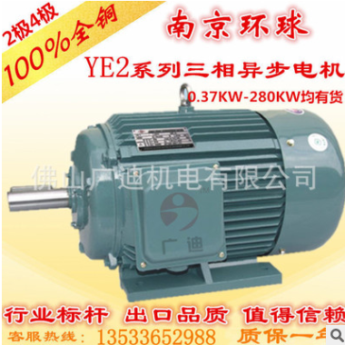 厂家直销 南京环球 Y2-160L-6 11kw三相异步电动机电机图2