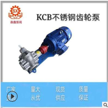 厂家大量批发KCB系列耐腐蚀管道泵 高粘度不锈钢齿轮泵 规格齐全图3