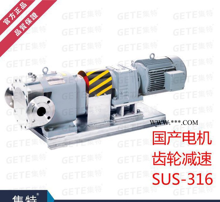 GETE集特 国产电机 316不锈钢卫生级 齿轮减速变频电机