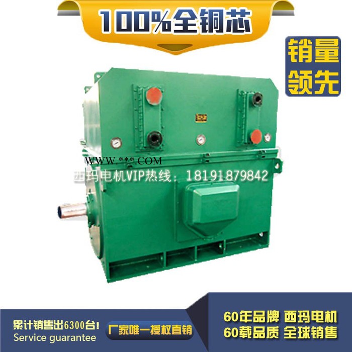 泰富西玛 YKK5603-8 710KW 10KV IP54 西玛YKK 10KV高压电机图1