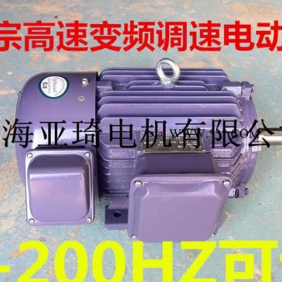 变频调速三相电动机YVP200L-4-30KW高速变频 正宗变频电机