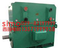 西安高压电机YKS6304-10  1120KW  10KV 西玛三相异步电动机