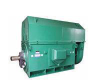 高压电机YKS系列YKS6303-2 3150KW 6KV空水冷却三相异步电动机