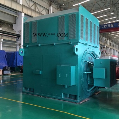 YRKK4003-4 315KW 6KV IP44/IP54 破碎机专用西玛绕线型高压电机 西玛电机