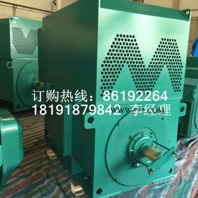 YRKK4504-8 315KW 6KV IP44/IP54 破碎机专用西玛绕线型高压电机 西玛电机