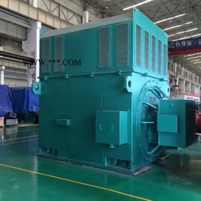 YRKK5601-8 560KW 6KV IP44/IP54 破碎机专用西玛绕线型高压电机 西玛电机