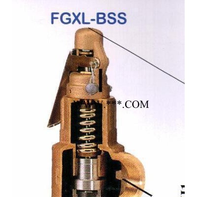 弹簧式安全阀  不锈钢安全阀 弹簧式安全阀 进口安全阀FGX