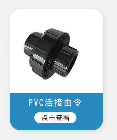 PVC球型止回阀