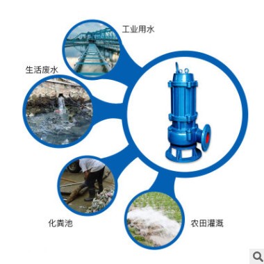 立式排污泵潜水排污泵50QW18-30-3潜水电泵易安装流量大输送远图3