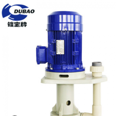可空转立式耐酸碱泵 PT-40VK-2槽外立式泵 小流量高扬程涂装泵