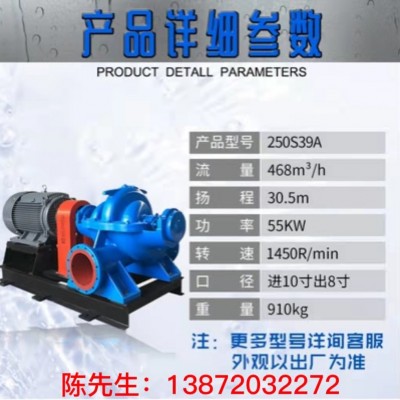 250S39A单泵头