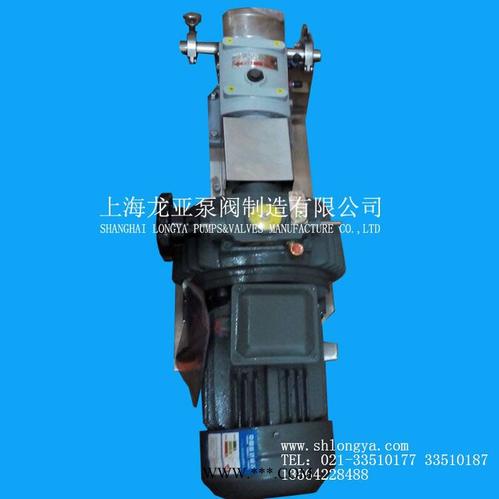 销售ZB3A-202级能耗380V转子泵 LQ3A-200变频转子泵组浦