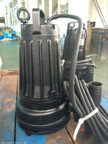 WQ60-13-4南京蓝深制泵集团股份有限公司图3