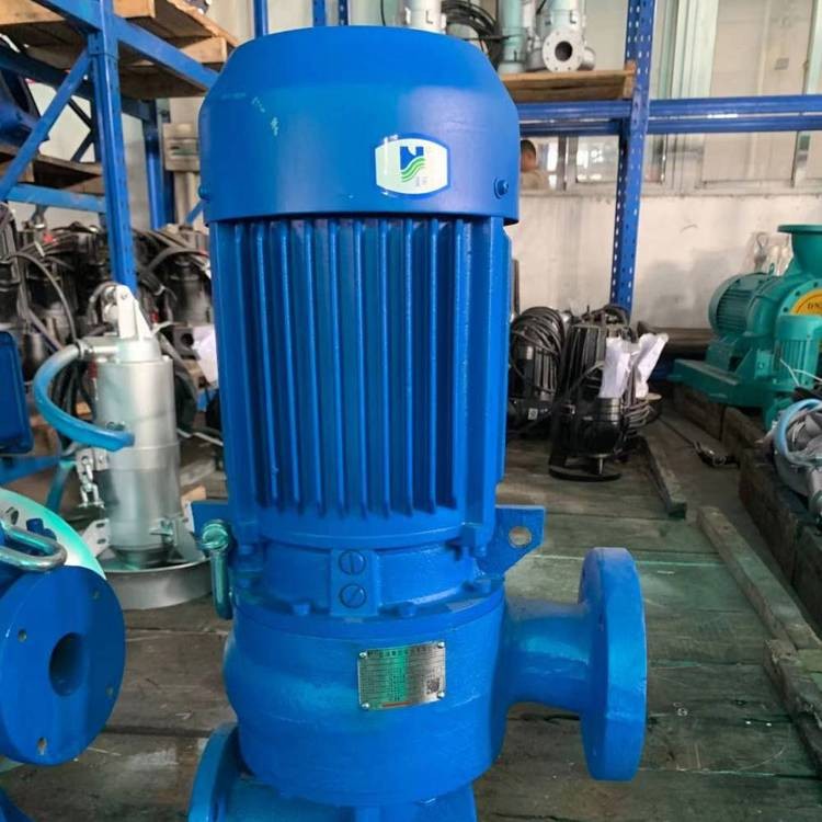 南京蓝深集团WL40-10-2.2立式污水泵技术协议图3