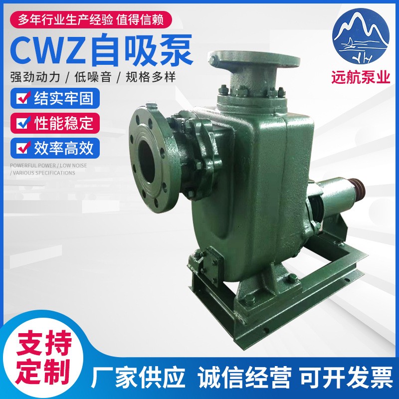 CWZ自吸泵 卧式自吸离心泵 救生艇用船用自吸式离心泵CWZ系列图5
