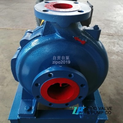 自贡铸铁ZIS或ZIR型卧式单级单吸离心泵清水泵循环泵